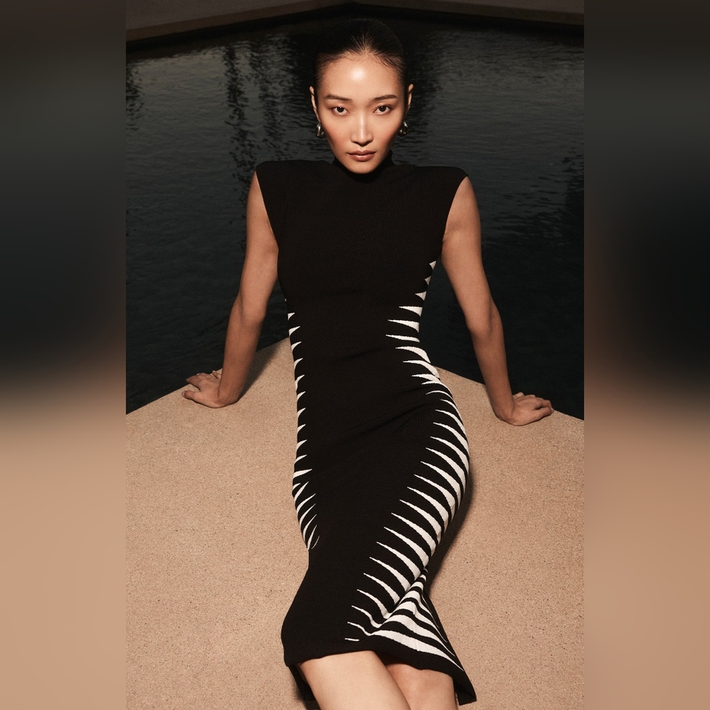 Herve Leger "The Claire" dress